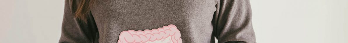 Woman hands holding intestine shape, healthy bowel digestion, le